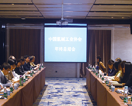 协会组织召开2024年度年终总结会